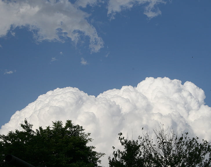 cloud, large, white, dense, cumulus, trees, sky