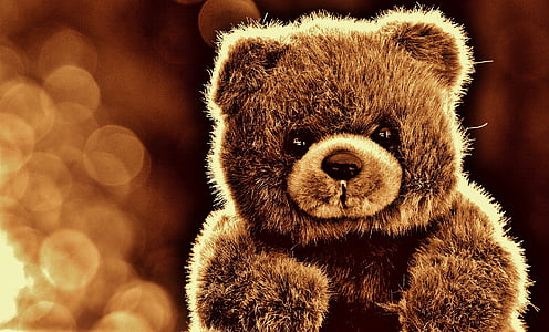 Bjørn, Teddy, tøjdyr, udstoppede dyr, bamse, brun bjørn, børn