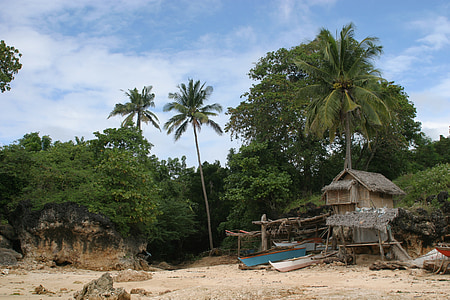 Robinson crusoe, Filipinas, Praia de areia, palmeiras, solitário, pitoresca, Relaxe