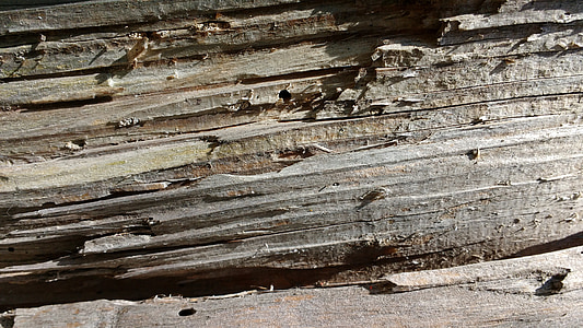fusta vella, fibres, gra, blanquejats, sec, patró, estructura de fusta