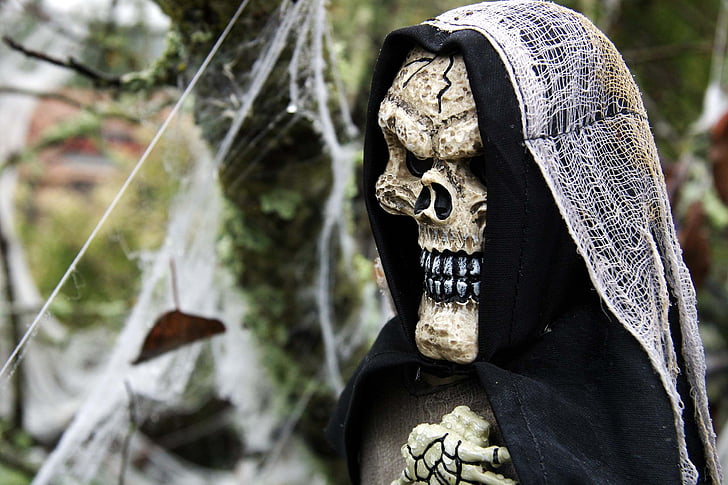 scary, forest, halloween, celebration, party, skull, bones