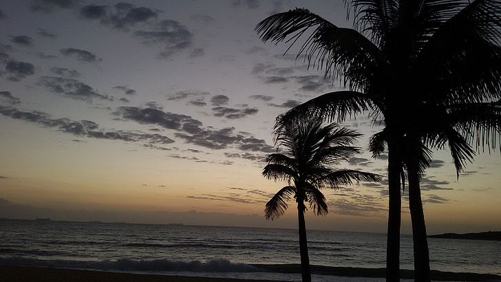 al atardecer, Playa, árbol de coco, mar, Crepúsculo, cielo, mar