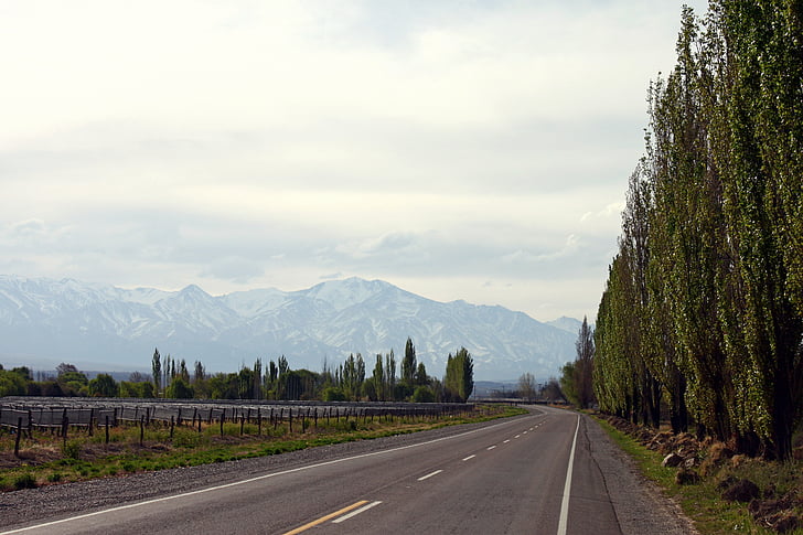 rota, montanha, estrada, Mendoza, paisagem, asfalto, na estrada