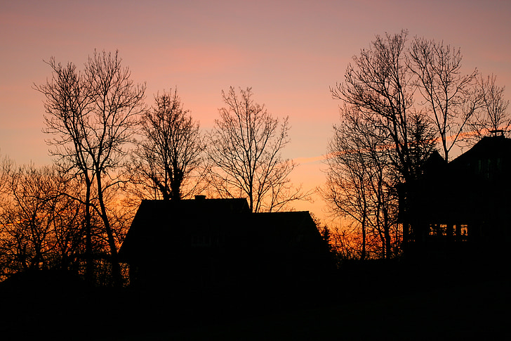 silhouette, abendstimmung, tree, home, dusk, branches, sunset