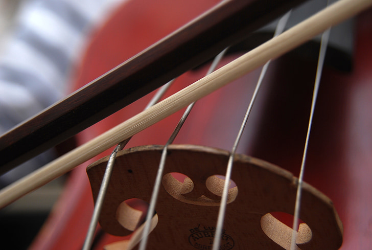 Cello, string, musik klasik, busur