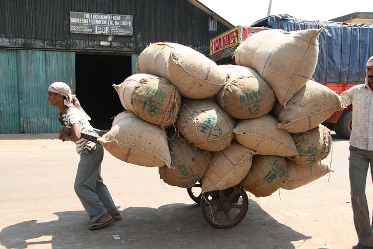 hard labour, sacks, transportation, india, sack barrow, heavy load
