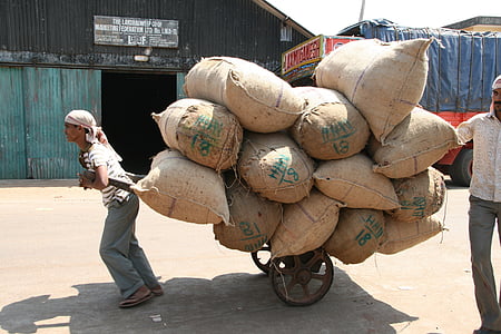 lavoro duro, sacchi, trasporto, India, carriola di sacco, carico pesante