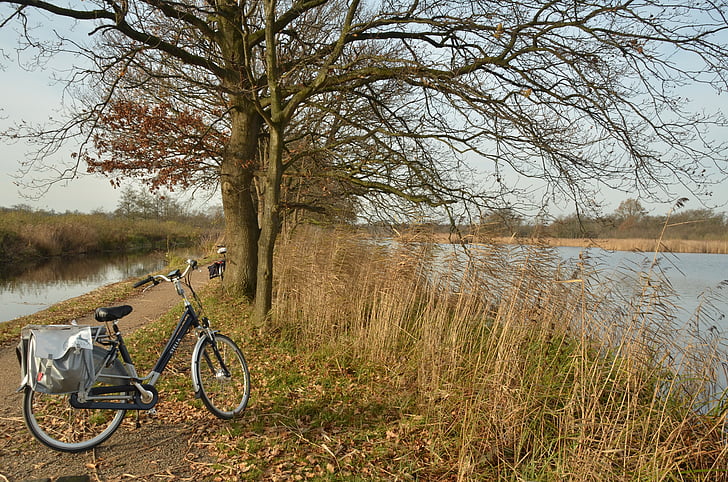 landscape, autumn, water, bicycle, bike path, tree, nature