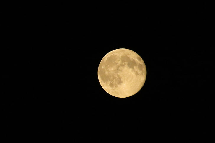månen, natt, fullmåne