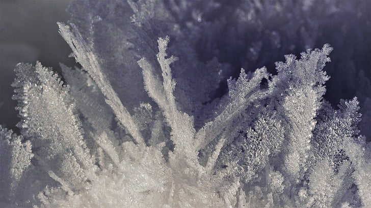 winter, sneeuwkristal, sneeuw, bevroren, koude, Frosty, macro