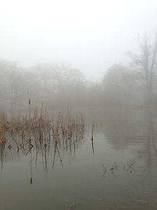 мъгла, мъгла, природата, езеро, пейзаж, гора, светлина