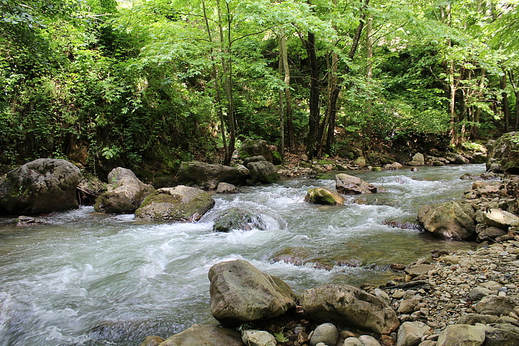 voda, Les, Příroda, krajina, řeka