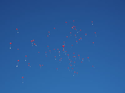 ballonger, fly, bryllup, Gratulerer, gratulasjonen, stige, oppgradering