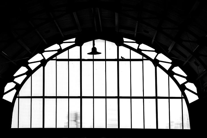 Estação, Harlem, pássaro, arquitetura, janela