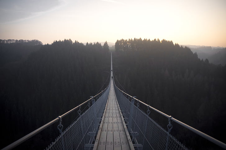 bridge, daytime, forest, cable, suspension bridge, fog, the way forward