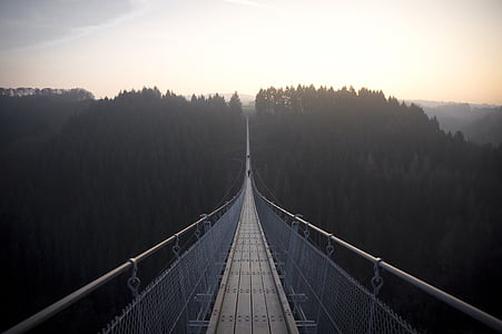 桥梁, 白天, 森林, 电缆, 悬索桥, 雾, 前进的道路