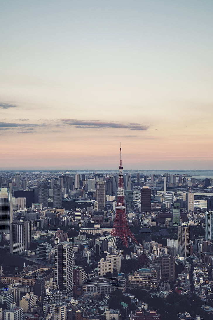 Aerial, vue, ville, haute, montée, bâtiments, Japon