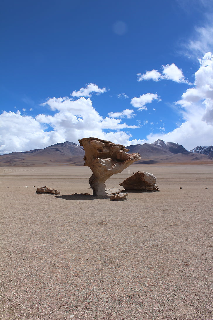 pohon batu, Bolivia, perjalanan