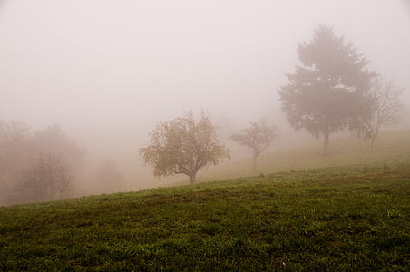toamna, ceaţă, peisaj, starea de spirit