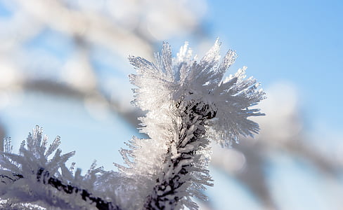 eiskristalle, Frost, frosne, kolde, Ice, krystaller, rimfrost