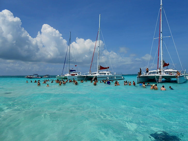 Grand cayman, Cayman eilanden, stingray city, pijlstaartroggen, Caraïben, eiland, vakantie