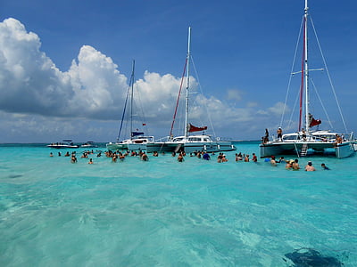 Grand cayman, Caymanöarna, Stingray city, stingrockor, Karibien, ön, semester