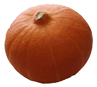 pumpkin, hokkaidō japan, orange, vegetables, food, eat, edible