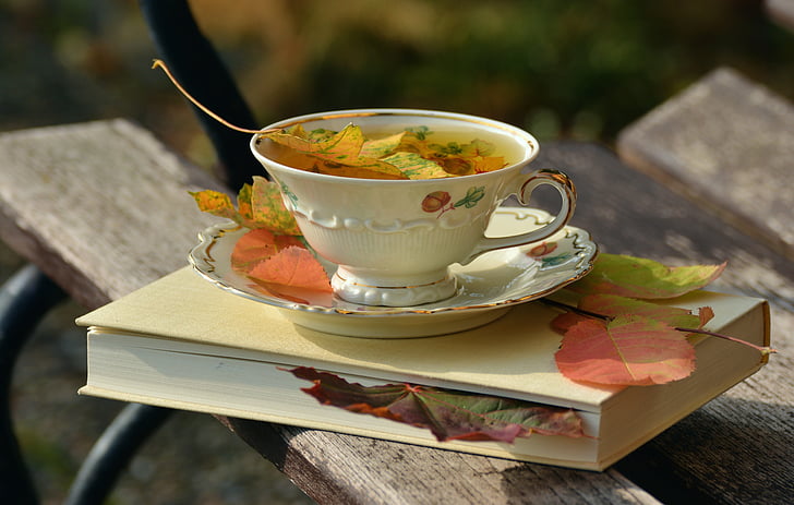 ter, arbatos puodelis, rudenį, rudens spalvos, rudenį lapai, stalo reikmenys, stato