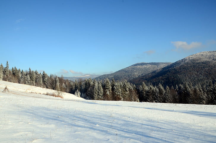winter, mountains, snow, forest, winter in the mountains, view, beskids
