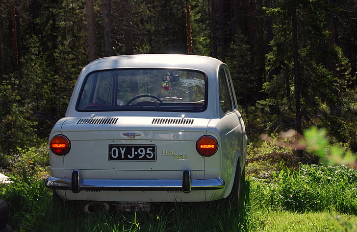 Fiat 850, été, vieux, Resto, modèle, voiture