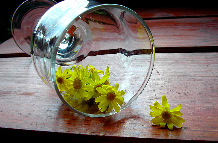 vidro, mesa de madeira, camomila, flores amarelas