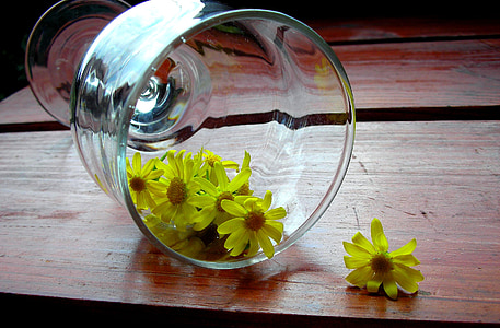 유리, 나무 책상, 카모마일, 노란색 꽃