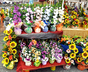 blomst, sammensætning, marked, stall, natur, farver, købstad
