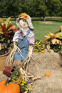 Scarecrow, ķirbji, gourds, kritums, Halloween