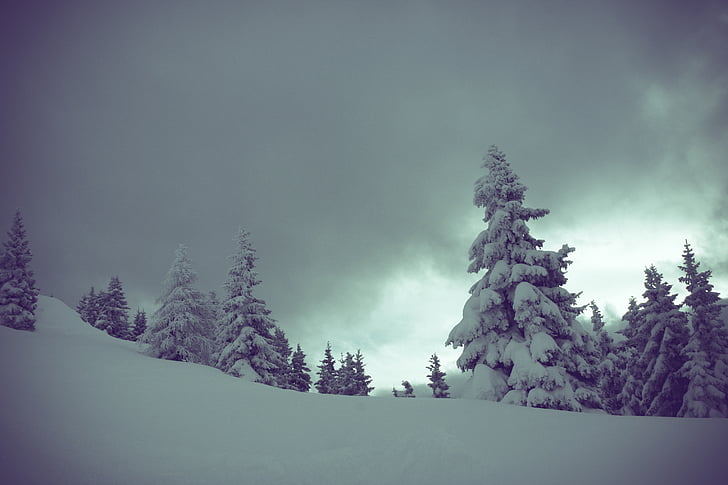 külm, mägi, loodus, Välibassein, vaikus, lumi, puud
