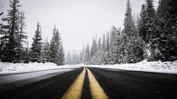 фотография, празен, път, близо до, дървета, обхванати, сняг