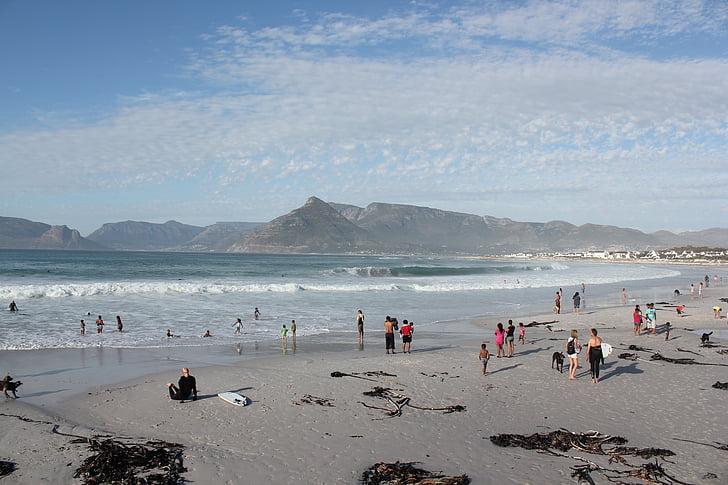 plaža, Kommetjie, southafrica, Cape town, slikovit