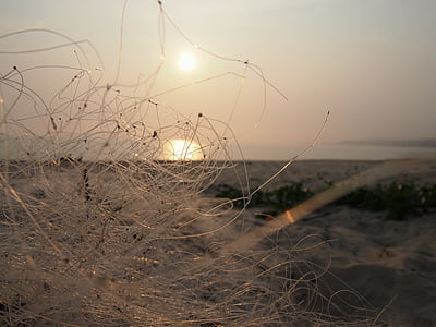 hai bian, fishing nets, the evening sun, nature, beach, sea