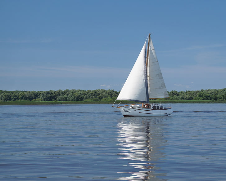 sailing boat, elbe, water, river, shipping