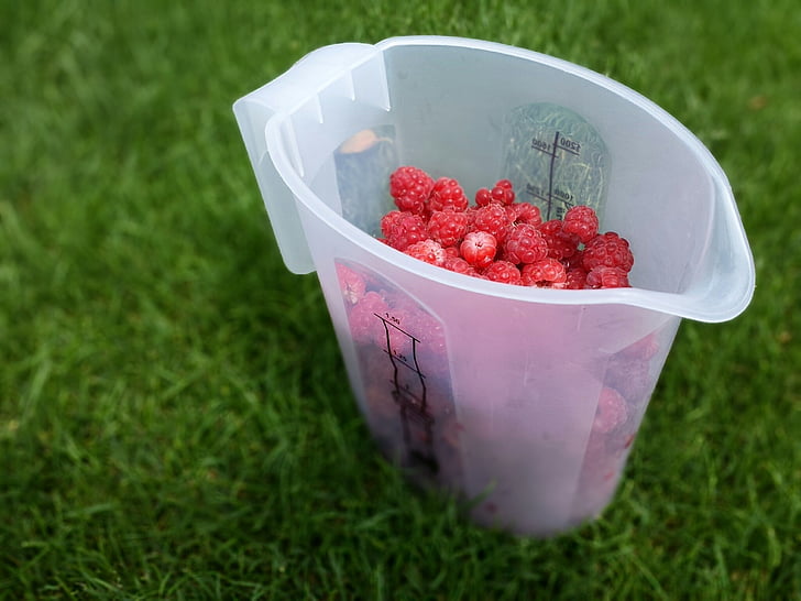 Picknick, Früchte, Himbeeren