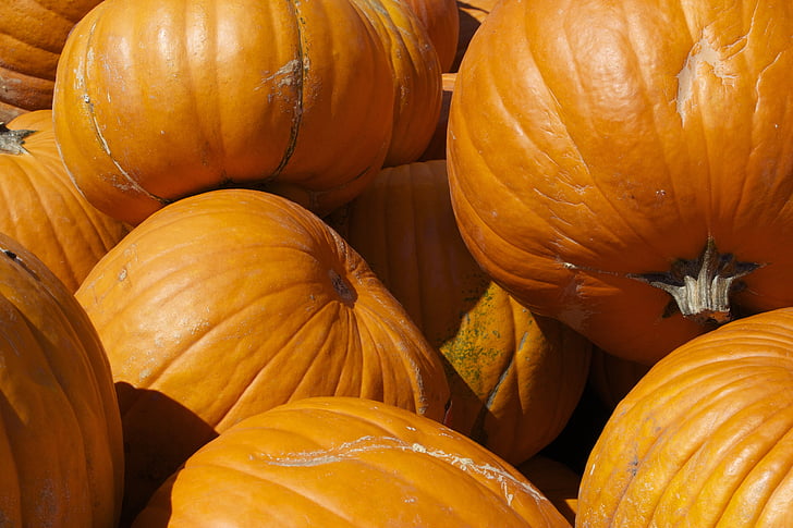 pumpkins, vegetable, autumn