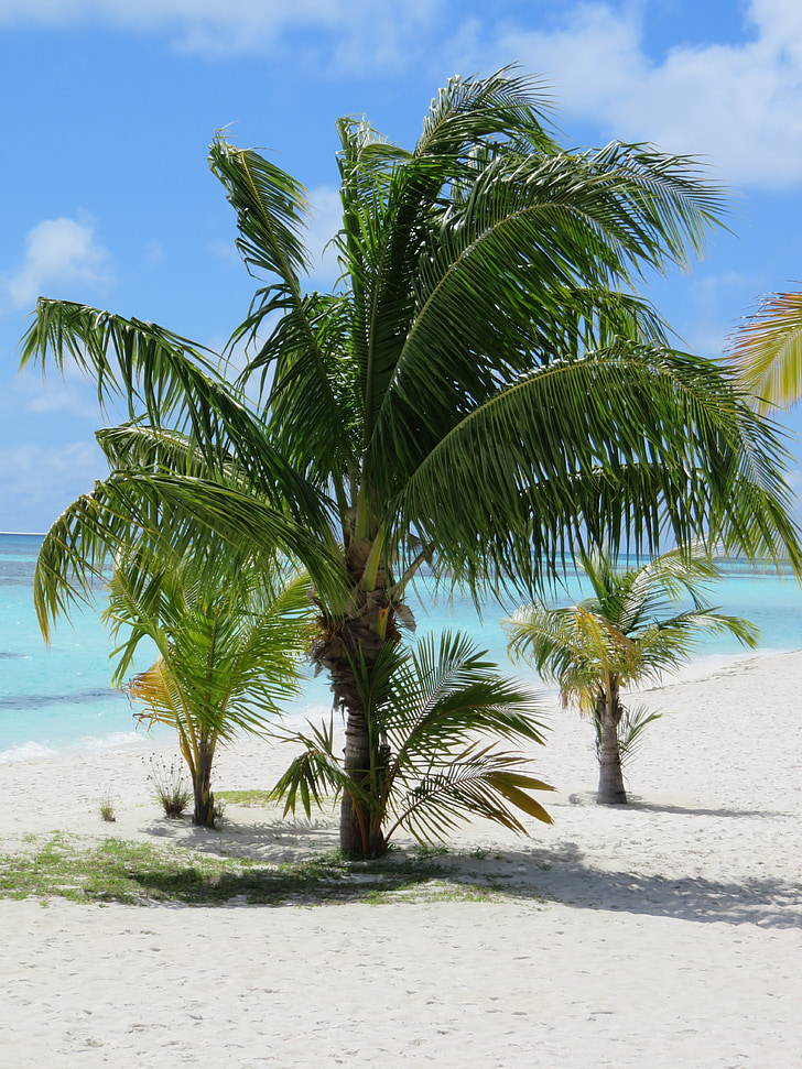 Maledivy, Kuredu, Indický oceán, letné, Dovolenka, Beach, slnko