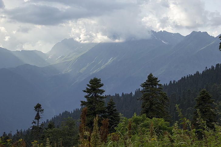 планини, природата, облаците, пейзаж, планински, трева, Абхазия