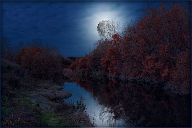 paisagens, lua, à noite, lua cheia, céu, céu e lua, superfície lunar