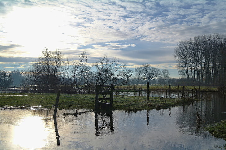 flooded, frost, winter, fields, countryside, country, landscape
