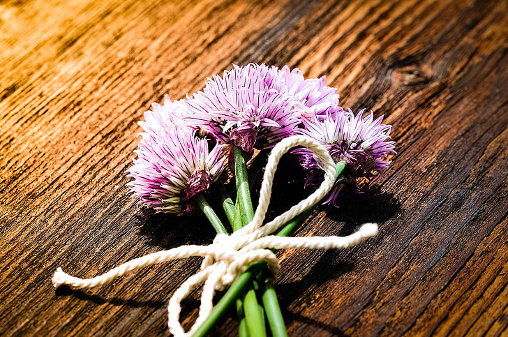 chives, flowers, chive flowers, purple, federal government, herbs, nature