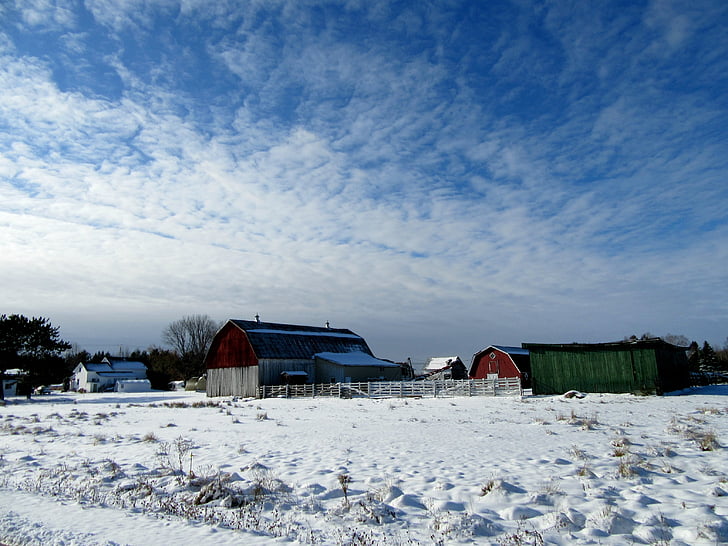 farma, stodola, vidieka, krajiny, zimné, mrazivé, sneh