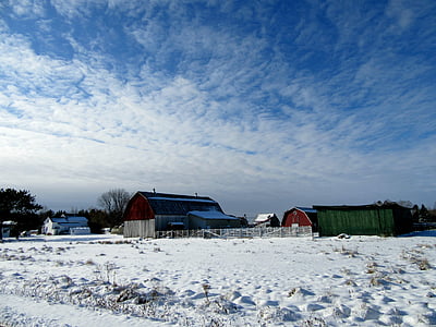 farma, štale, ruralni, zemlja, Zima, studen, snijeg