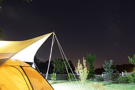 Camping, natt, stjärnigt, tält, Utomhus, naturen, skogen