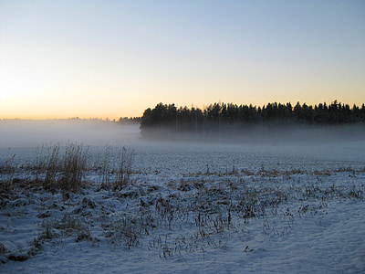 winter, snow, mist, fog, forest, field, afterglow